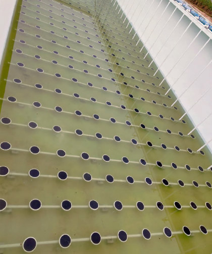 Diffused Aeration Systems